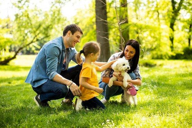 Important Things to Keep in Mind When Getting a Dog for Your Toddler