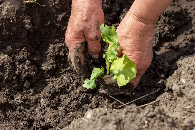  When to Plant Vegetables for Maximum Growth